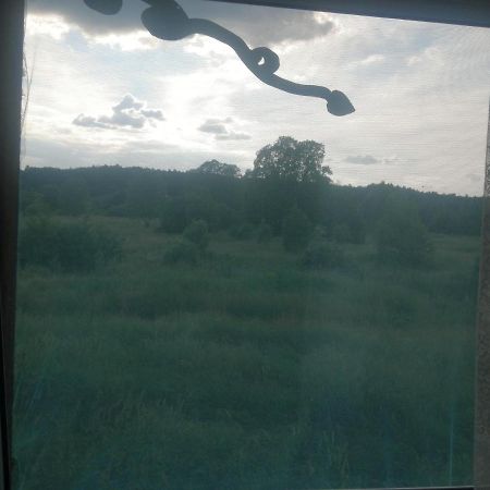Ostoja Lägenhet Białowieża Exteriör bild
