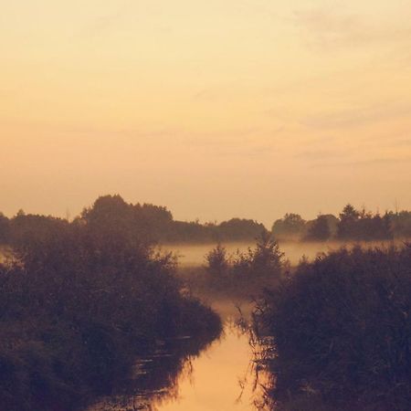 Ostoja Lägenhet Białowieża Exteriör bild