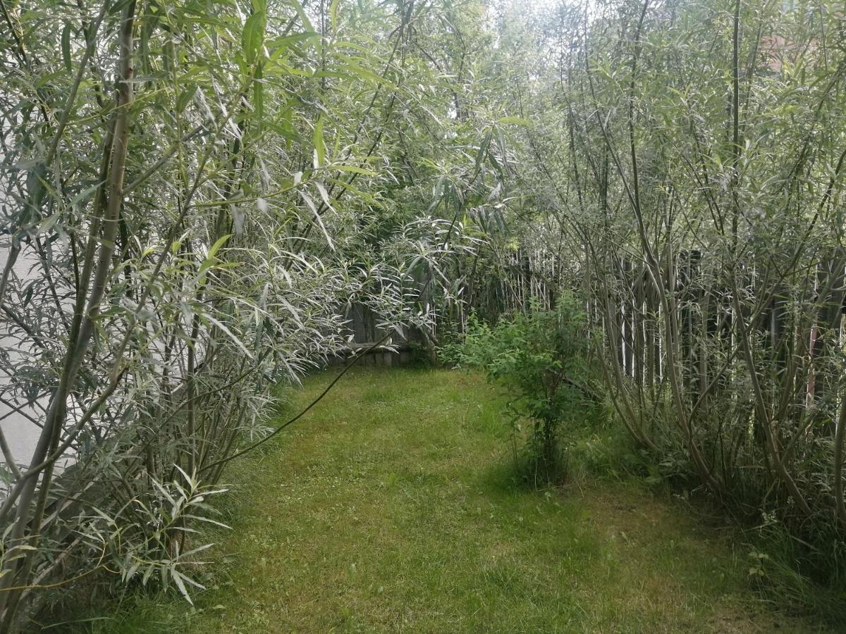 Ostoja Lägenhet Białowieża Exteriör bild