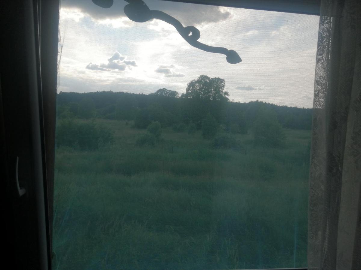 Ostoja Lägenhet Białowieża Exteriör bild