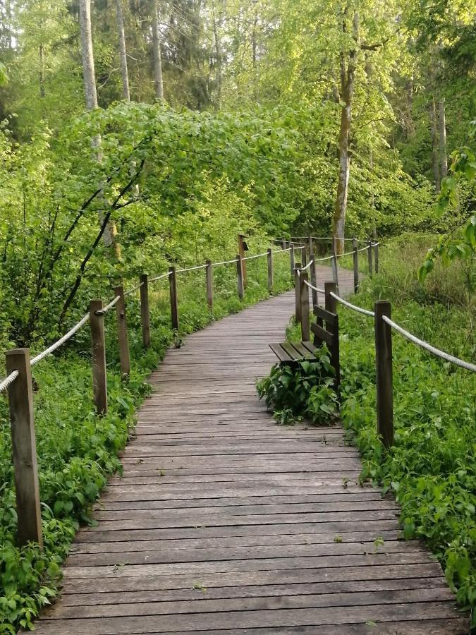 Ostoja Lägenhet Białowieża Exteriör bild