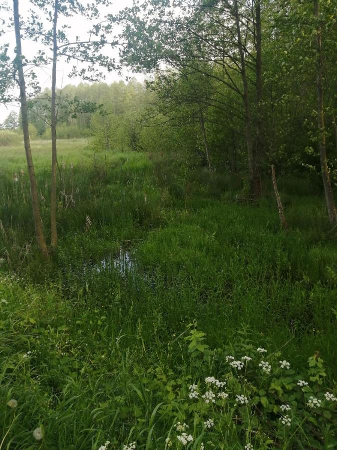 Ostoja Lägenhet Białowieża Exteriör bild