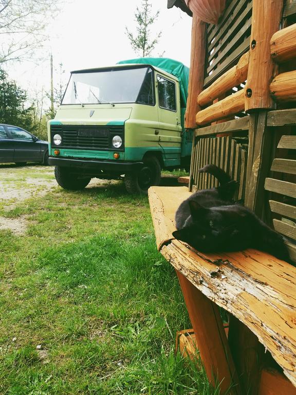 Ostoja Lägenhet Białowieża Exteriör bild