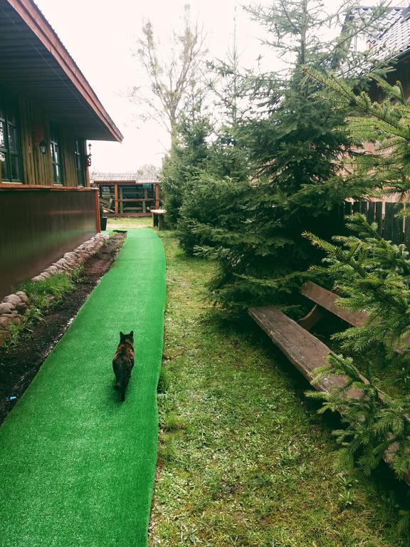 Ostoja Lägenhet Białowieża Exteriör bild